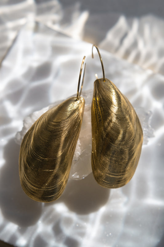 MUSSEL SHELL Earrings