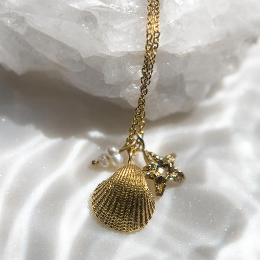 VENUS SHELL x ASTERIAS necklace